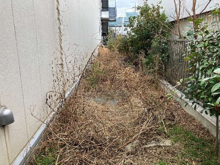 Before